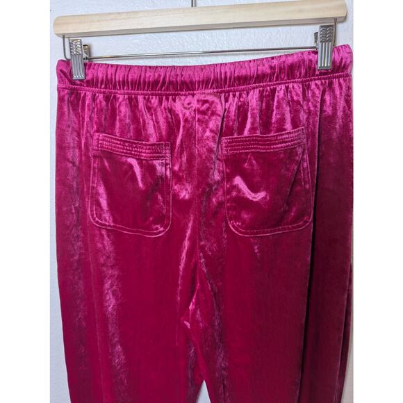 Anthropologie Saturday Sunday Pink Velour Jogger Pants Women Size S Soft Barbie - Picture 6 of 9